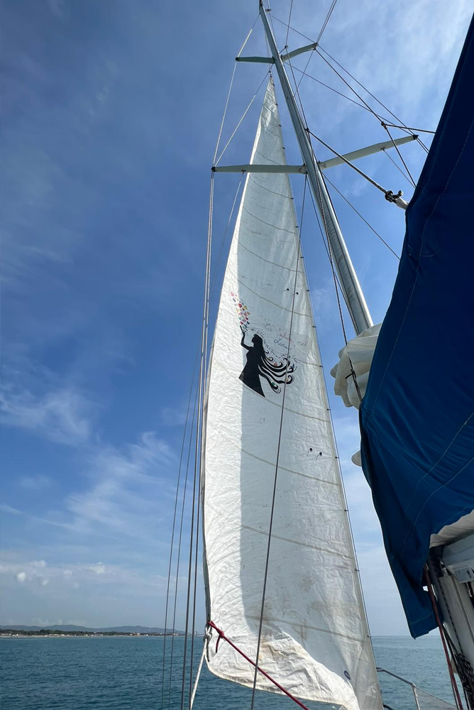 Un giorno in barca a vela